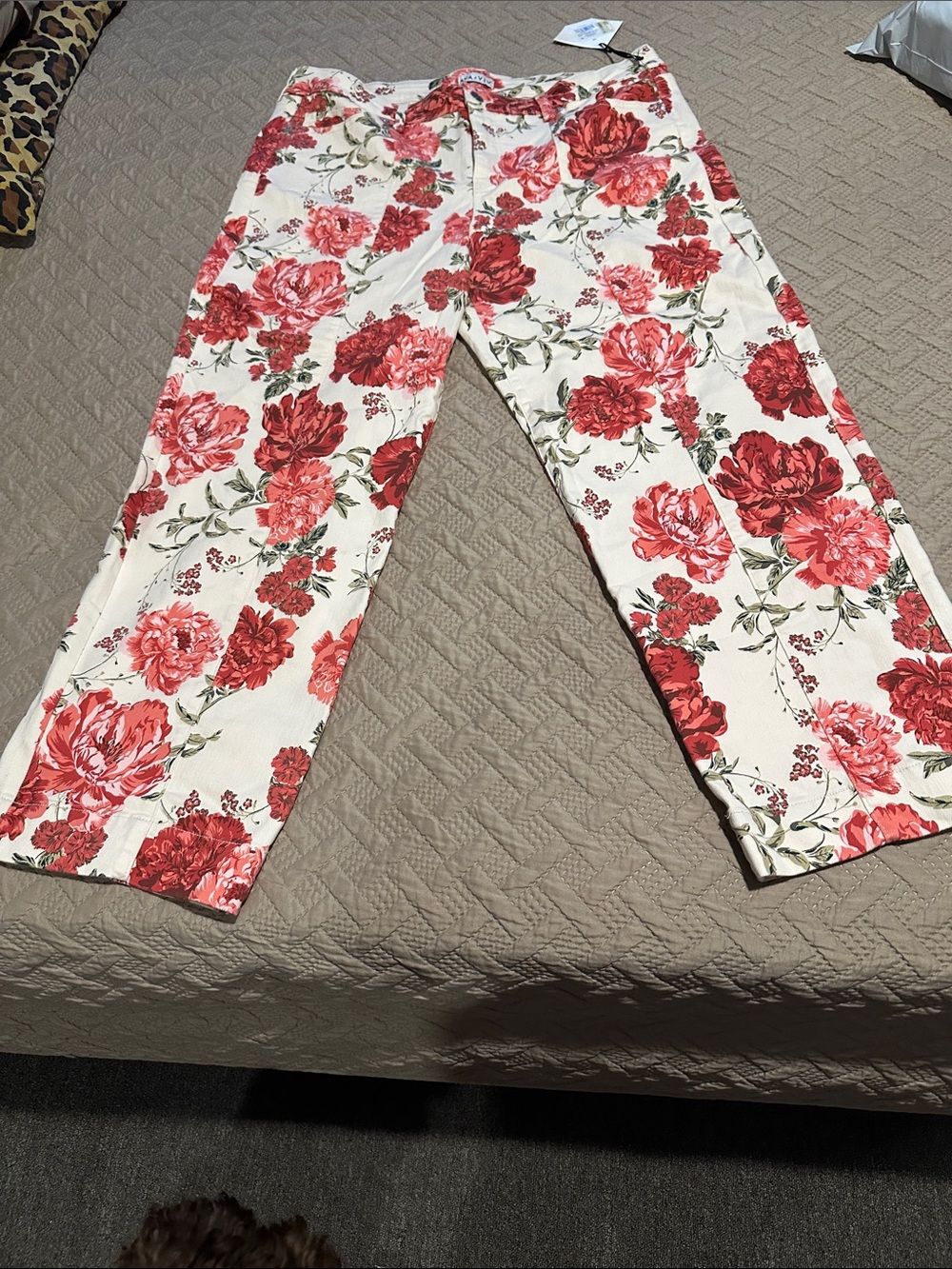 Ava & Viv Cream Straight-Leg Pants with Red Floral Print
